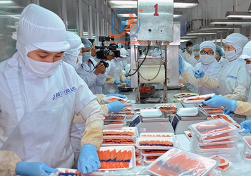 THỰC TẬP SINH CHẾ BIẾN THỰC PHẨM 2026