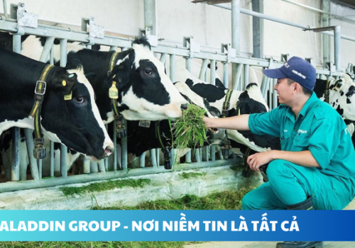 GIẢI ĐÁP THẮC MẮC VỀ CHƯƠNG TRÌNH TOKUTEI NÔNG NGHIỆP CHĂN NUÔI