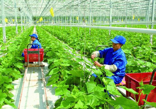 THỰC TẬP SINH NÔNG NGHIỆP