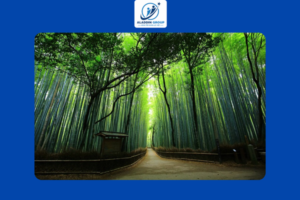 ALADDIN GROUP - NƠI NIỀM TIN LÀ TẤT CẢ - 2025-04-01T114306.496